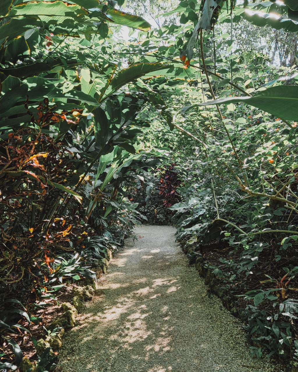 How does planting natives save money?